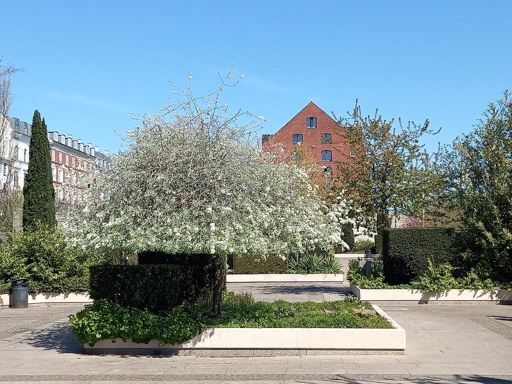 Dänemark (107)